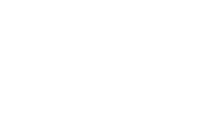 Footer Graphic